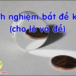 Kinh nghiệm bắt đề kép Bí thuật giúp bắt con đề kép mỗi ngày